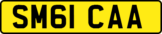 SM61CAA