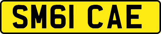 SM61CAE