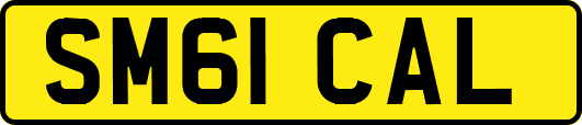 SM61CAL