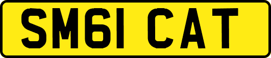 SM61CAT