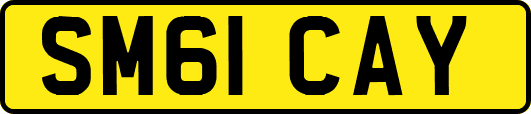 SM61CAY