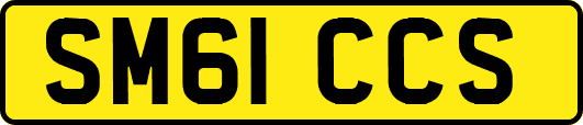 SM61CCS