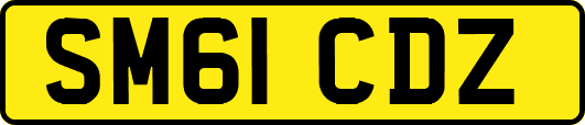 SM61CDZ