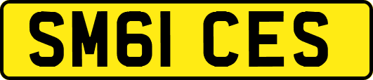 SM61CES
