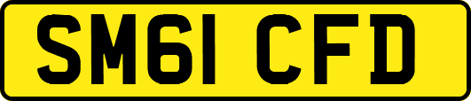 SM61CFD