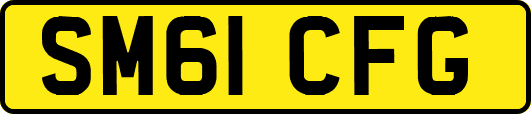 SM61CFG