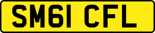 SM61CFL