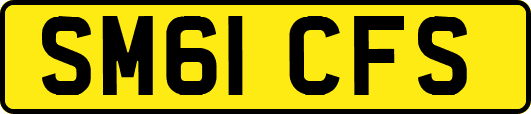 SM61CFS
