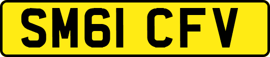SM61CFV