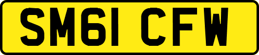 SM61CFW
