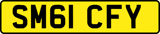 SM61CFY