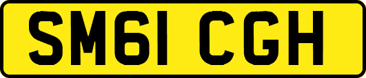 SM61CGH