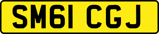 SM61CGJ