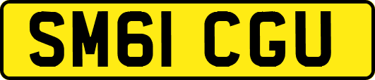 SM61CGU