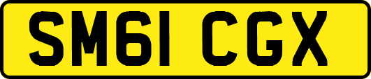 SM61CGX