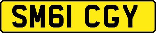 SM61CGY