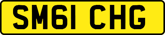 SM61CHG