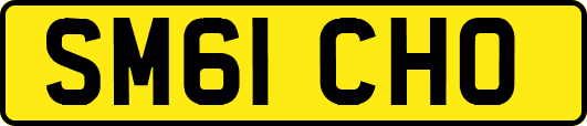 SM61CHO