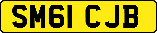 SM61CJB