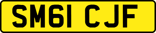 SM61CJF