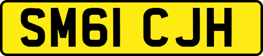 SM61CJH