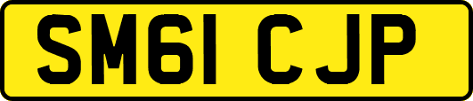 SM61CJP