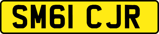 SM61CJR