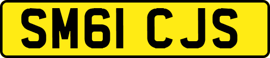 SM61CJS