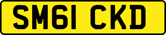 SM61CKD