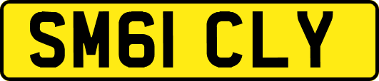 SM61CLY