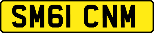 SM61CNM