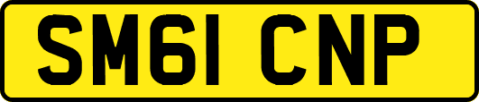 SM61CNP