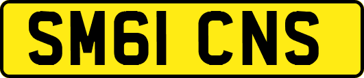 SM61CNS