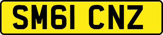 SM61CNZ