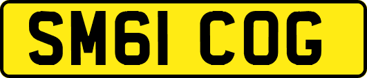 SM61COG