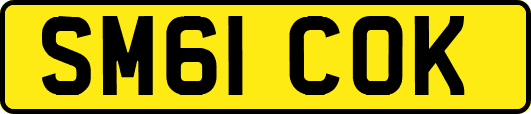 SM61COK