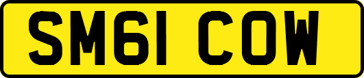 SM61COW