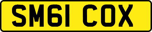 SM61COX