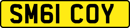 SM61COY