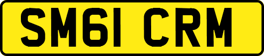 SM61CRM
