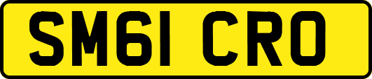 SM61CRO
