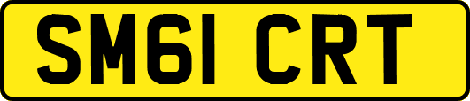 SM61CRT