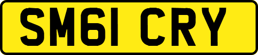 SM61CRY