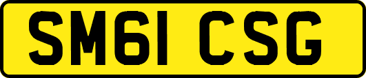 SM61CSG