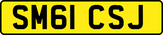SM61CSJ