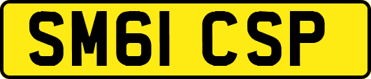 SM61CSP