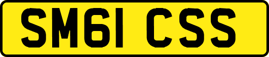 SM61CSS