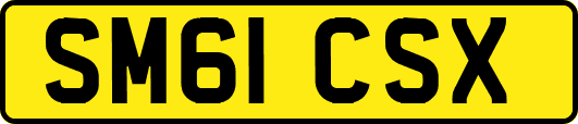 SM61CSX