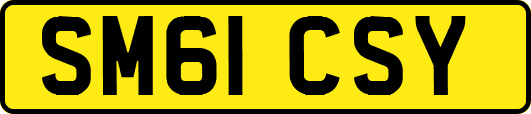 SM61CSY