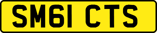 SM61CTS